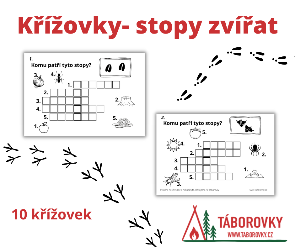 Křížovky stopy zvířat 